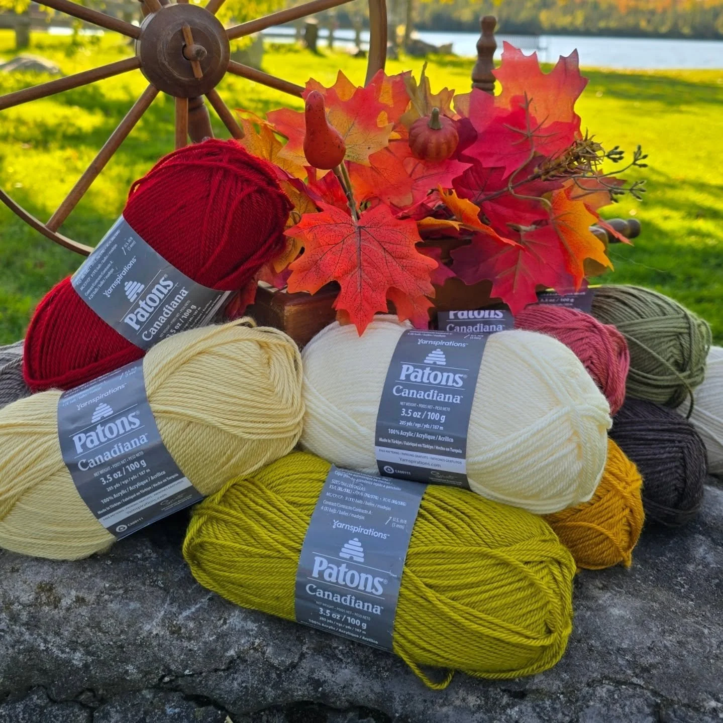 - Yarn Of The Month -

Fall has officially arrived in Bobcaygeon, and we're here for it! The mornings are cooler, we're reaching for our cozy sweaters, and the trees are showcasing a beautiful palette of autumn colours.

We're excited to announce tha