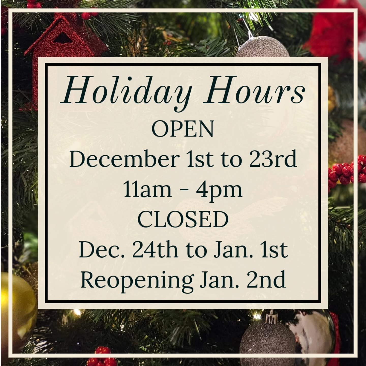 You read that right!  Starting Monday, December 1st, the Shoppe will be OPEN 11am - 4pm everyday until the 23rd.

And....don't forget, our 12 Days of Christmas Deals starts Monday too. Every day for the 1st 12 days of December, we'll be featuring one