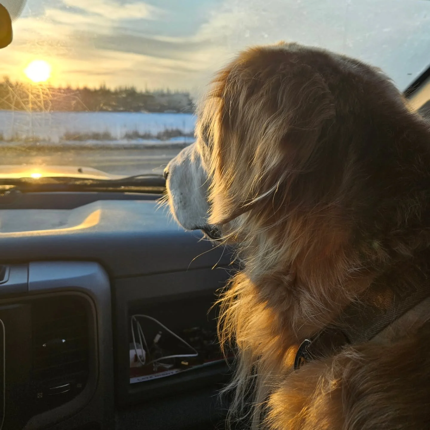 Please note, the Shoppe will be CLOSED today (Thursday, March 5th).

Thank you for your understanding.