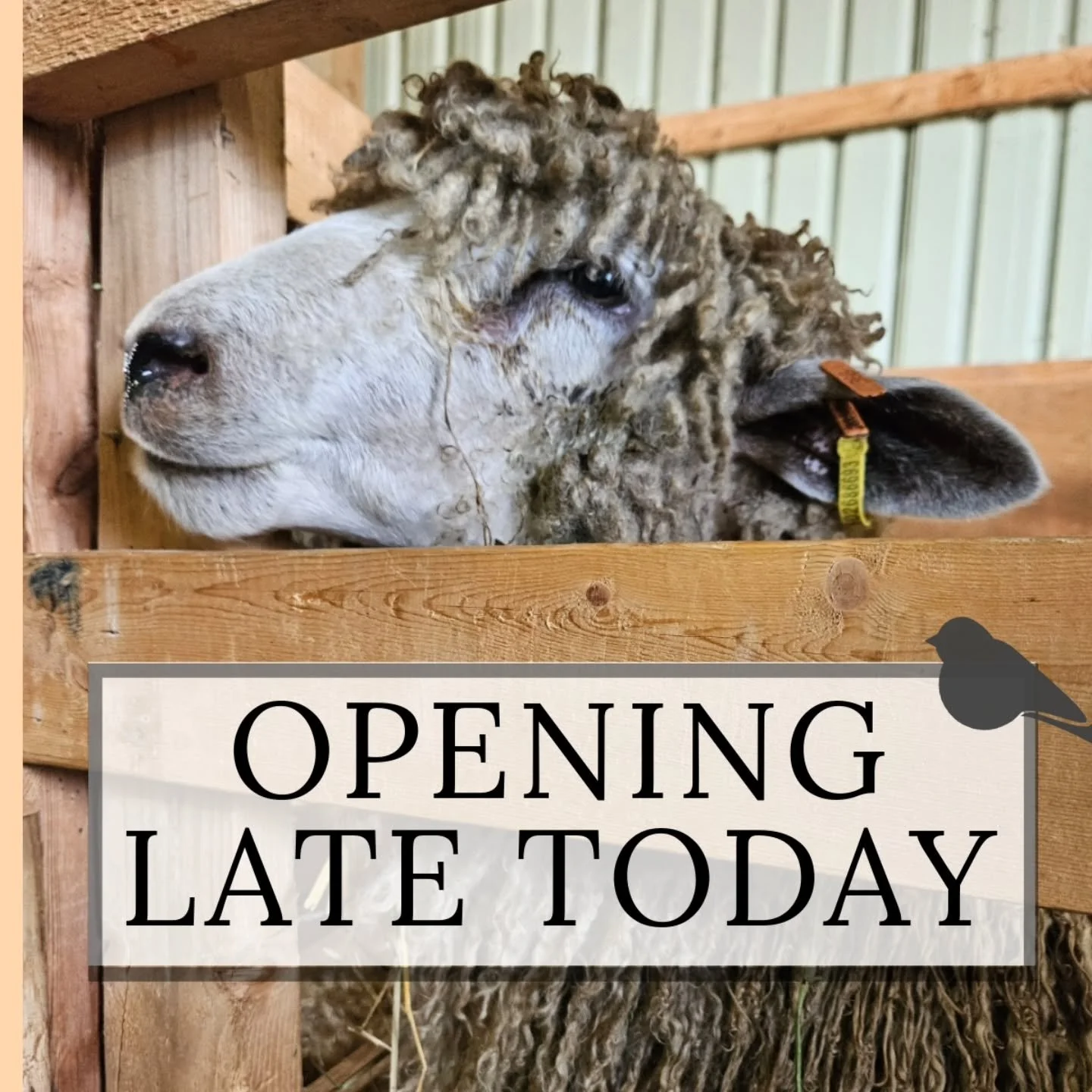 OPEN 1 - 4 today.

Opening a little later today - we have an appointment we have to keep.

Thanks for your understanding and sorry for any inconvenience.

See you soon!