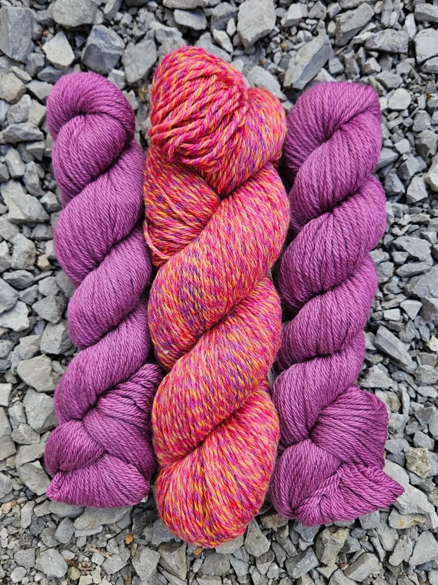 Birds of Paradise with Mauve