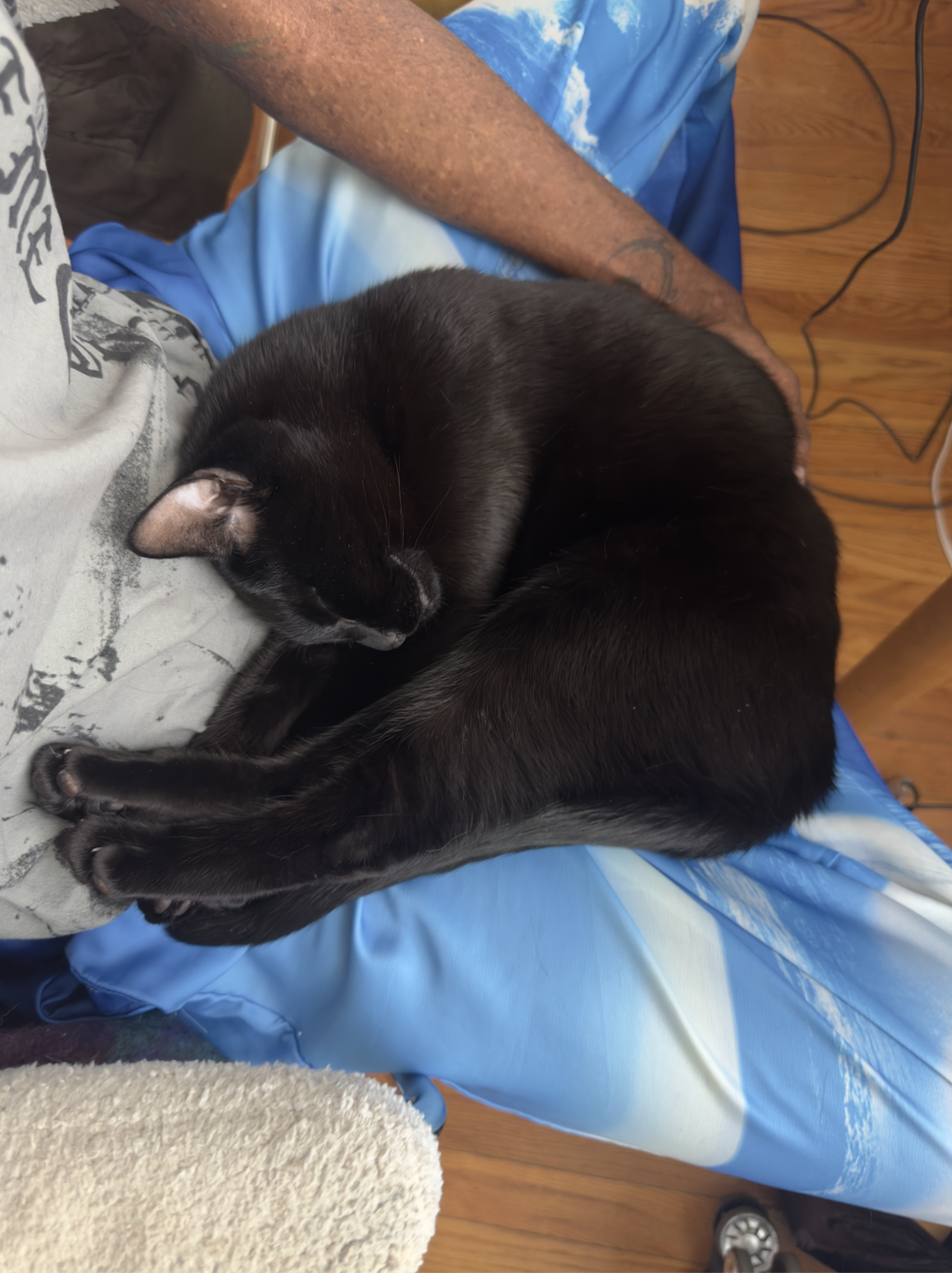 Screenshot 2026-04-10 at 8.12.02 PM.png