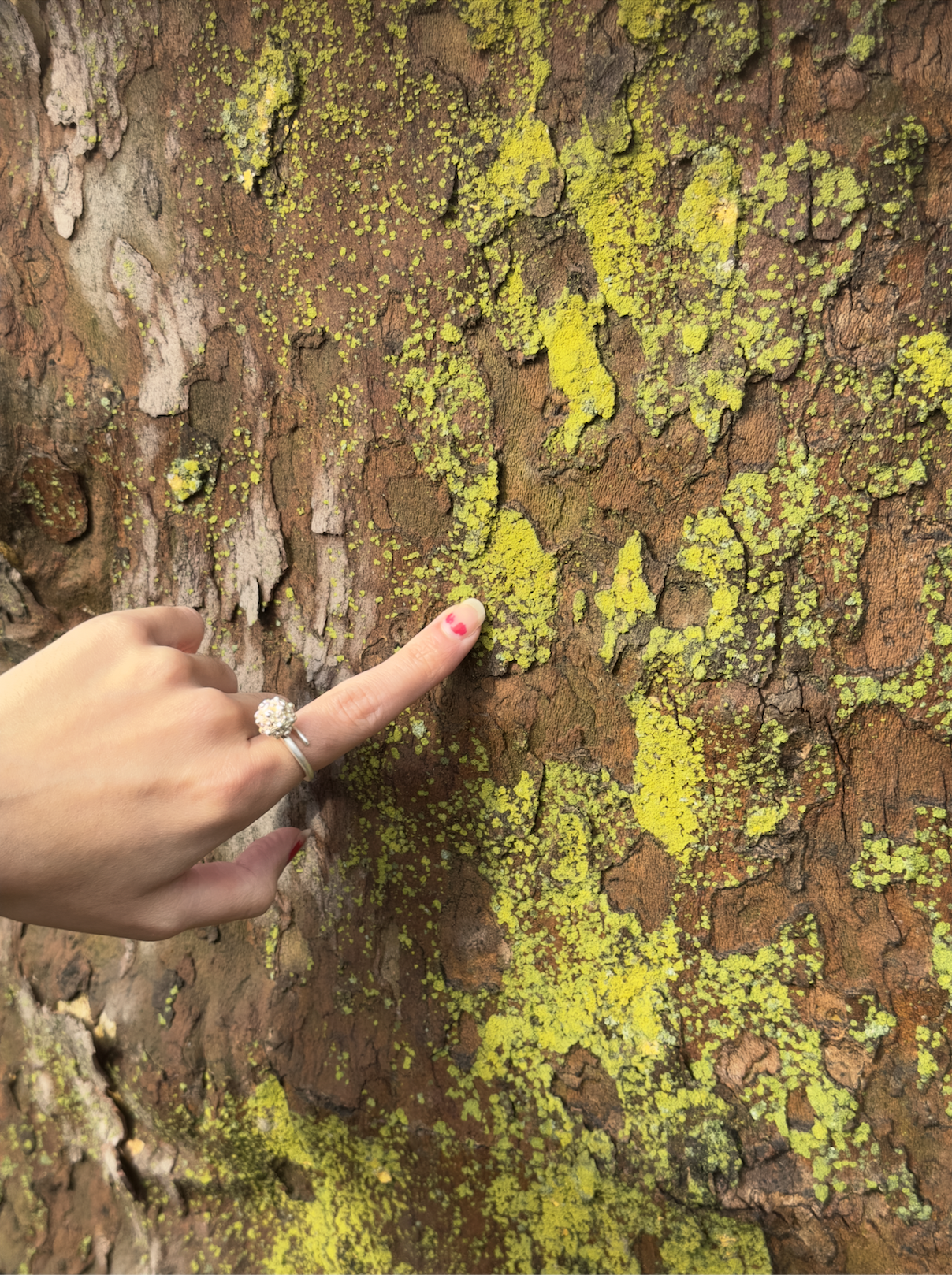 Screenshot 2026-04-10 at 7.37.22 PM.png