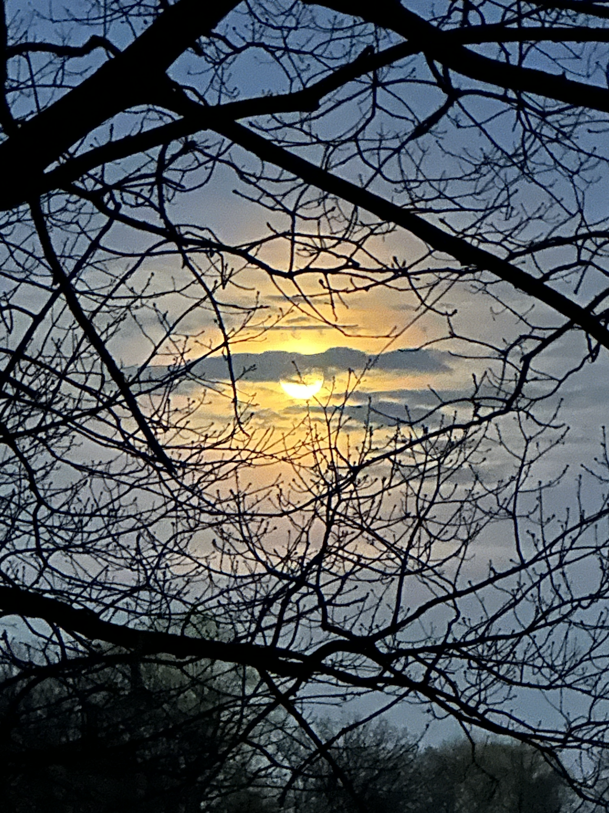 Screenshot 2026-04-10 at 7.41.55 PM.png