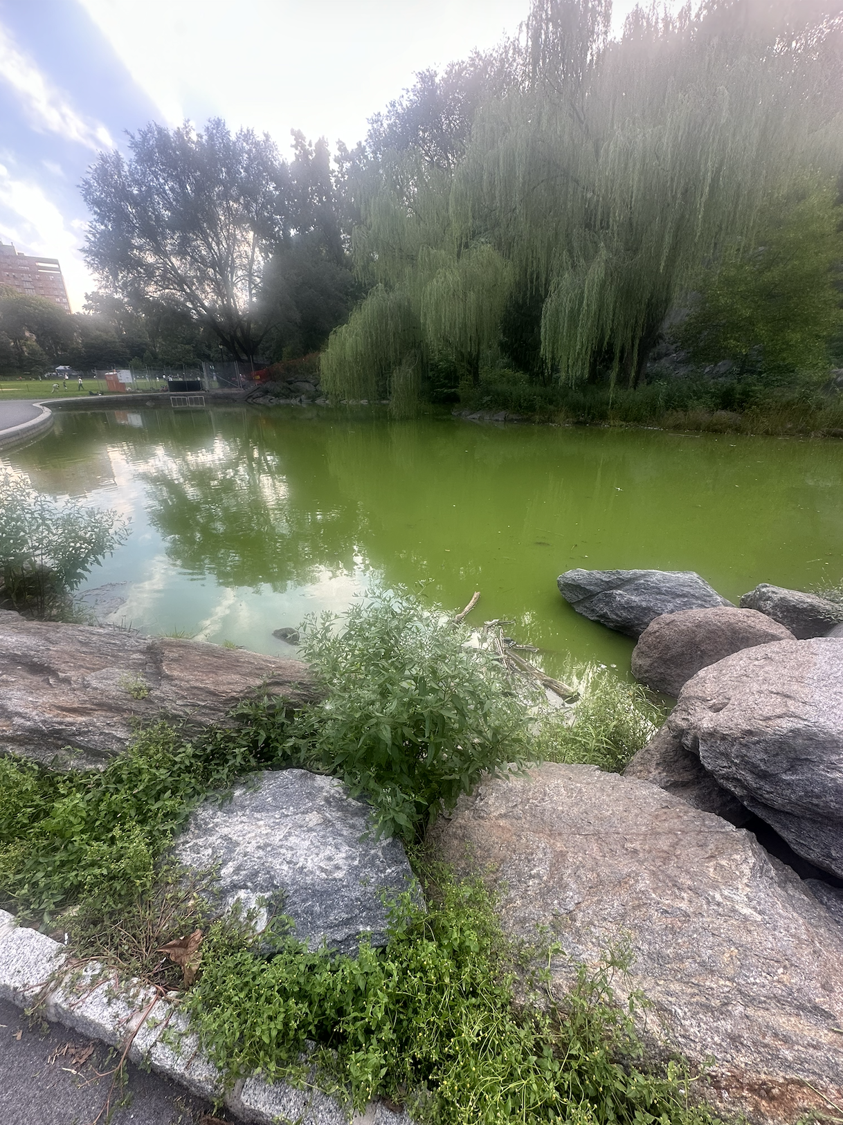 Screenshot 2026-04-10 at 7.53.27 PM.png