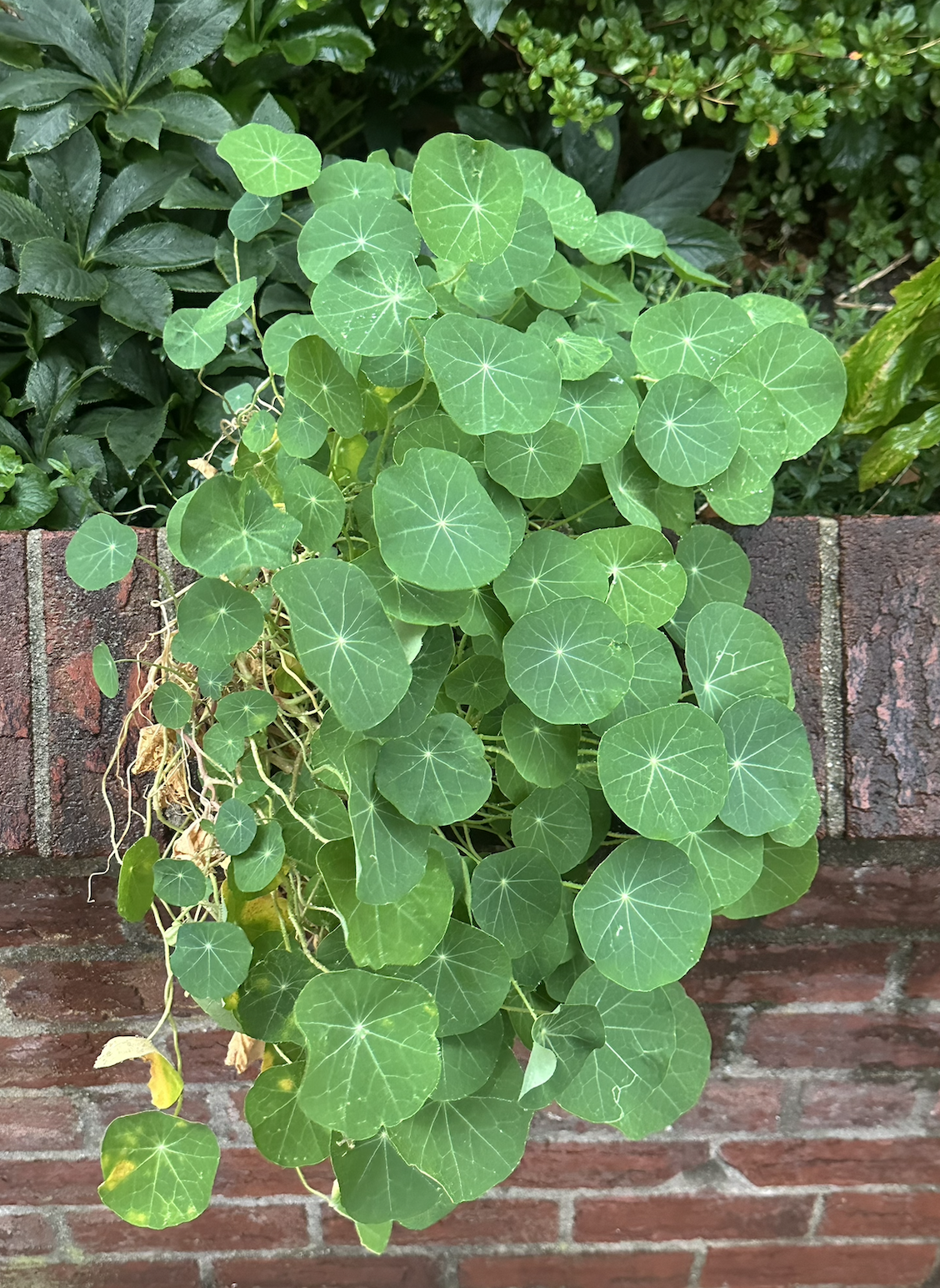 Screenshot 2026-04-10 at 7.37.08 PM.png