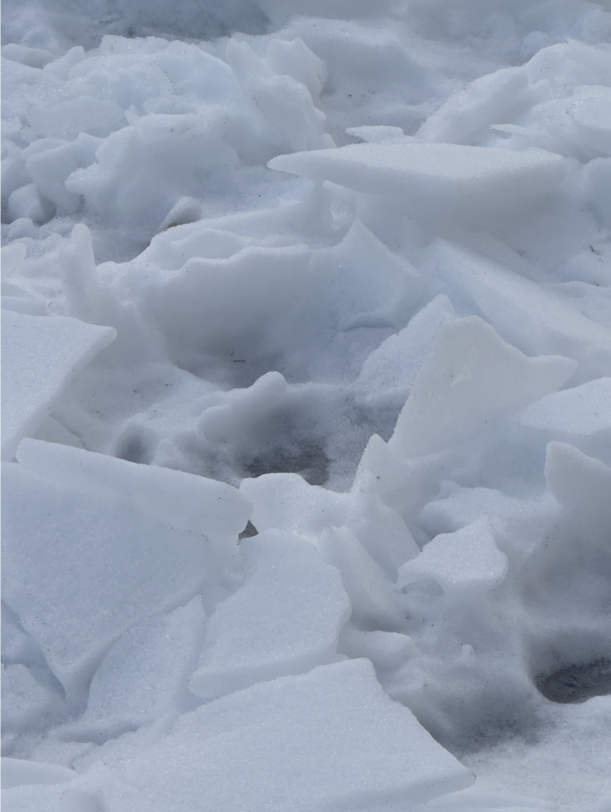 Screenshot 2026-04-10 at 7.31.27 PM.png