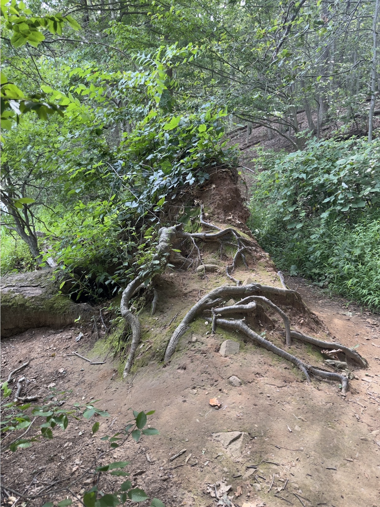 Screenshot 2026-04-10 at 6.59.45 PM.png