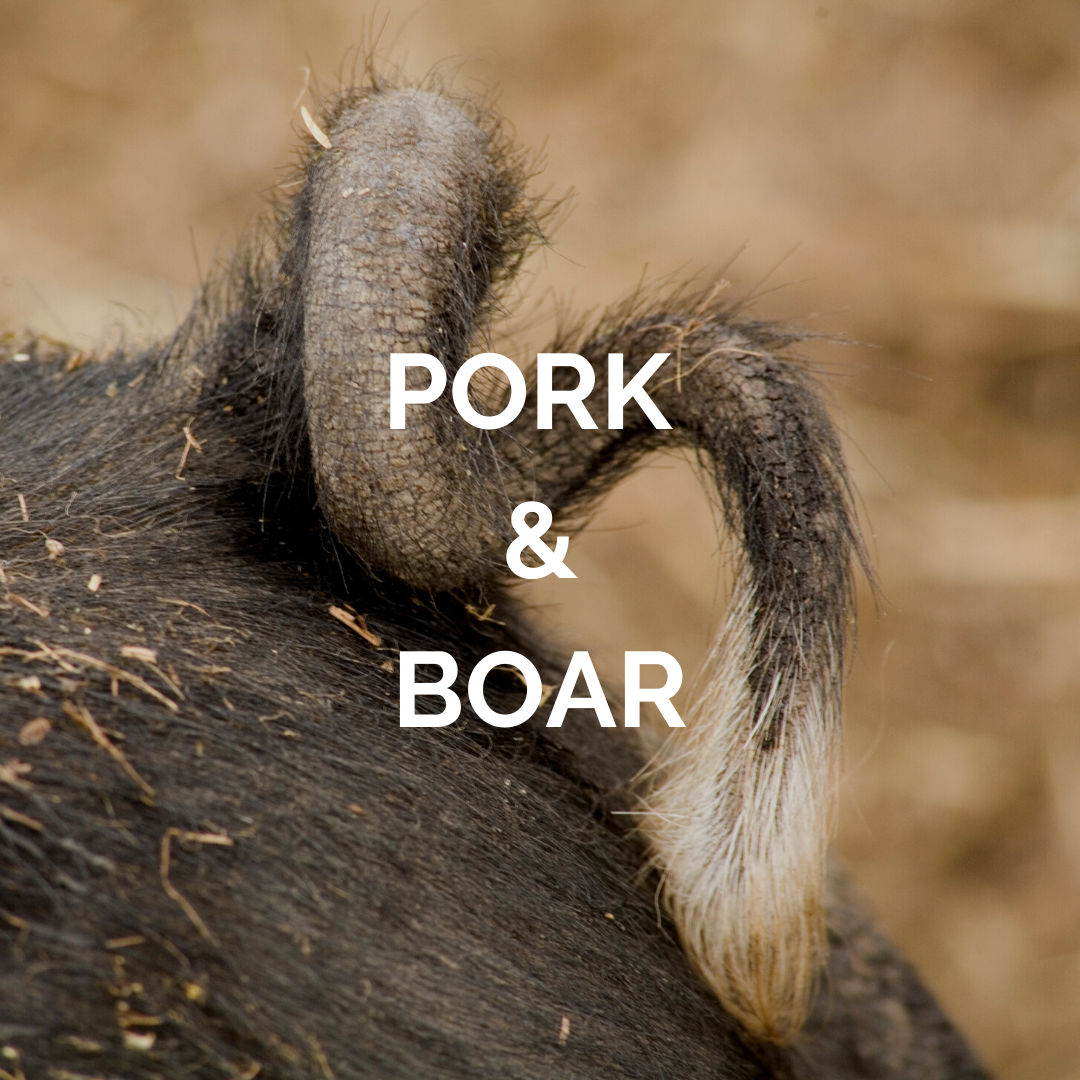 PORK & BOAR.png