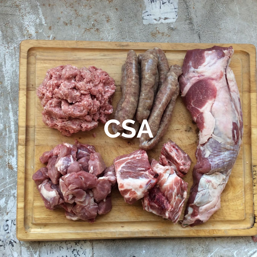 csa.png