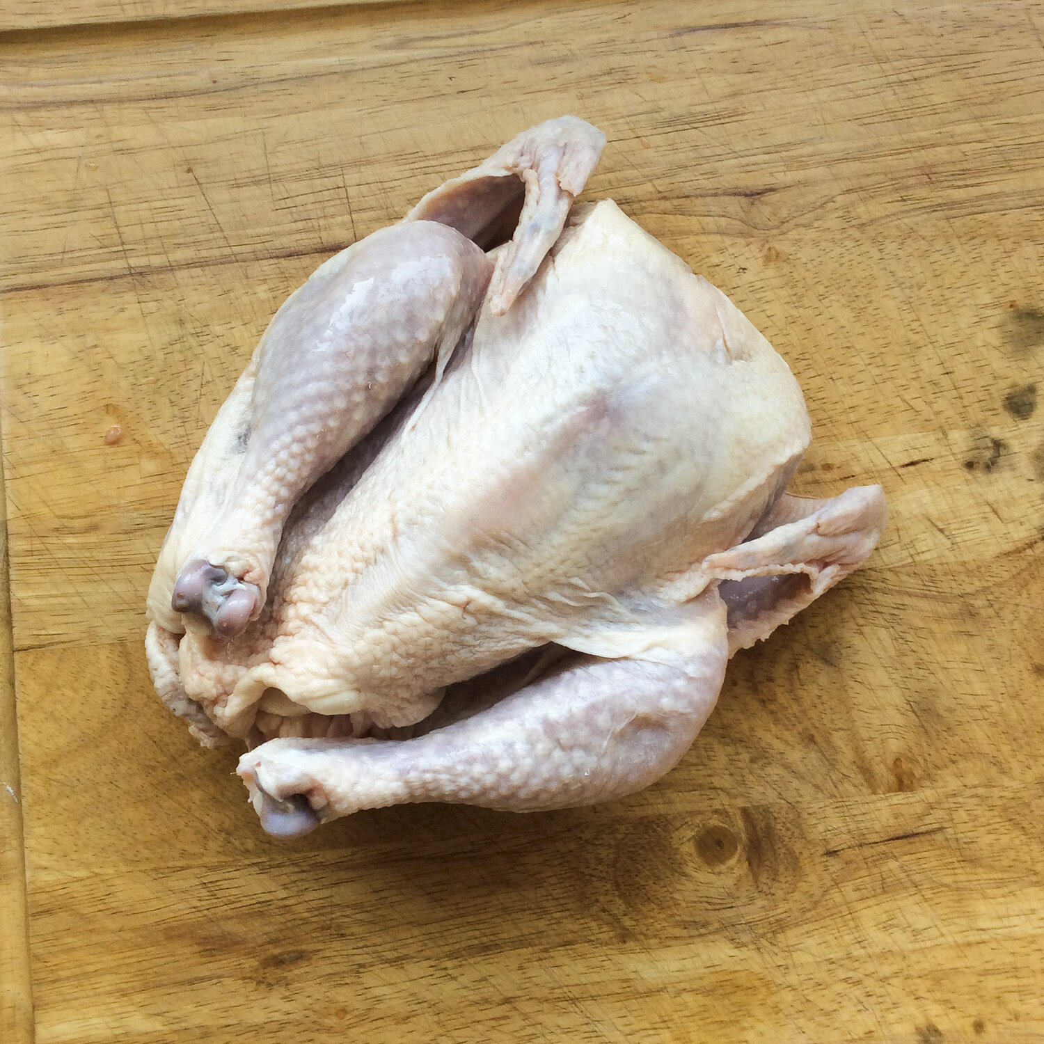 Chicken - Stewing Hen - Certified Organic - Pasture Raised