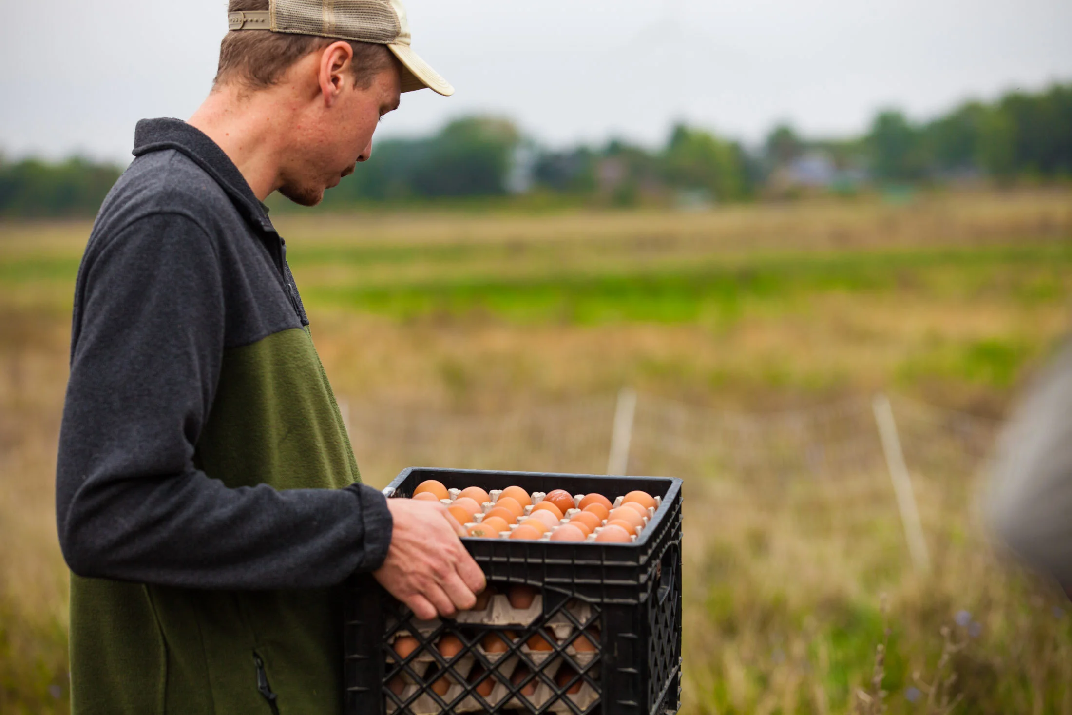 Farm Help Wanted — Mint Creek Farm