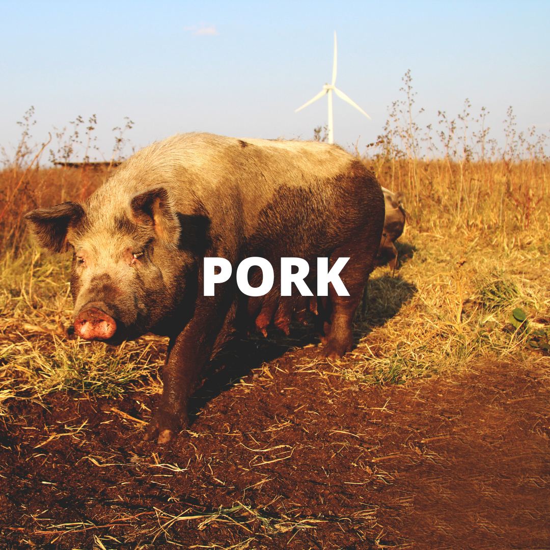 PORK block.png