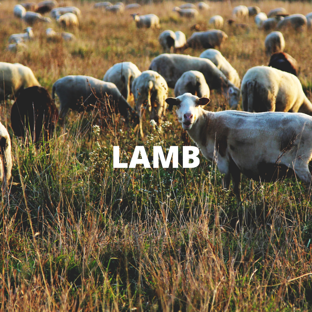 LAMB block.png