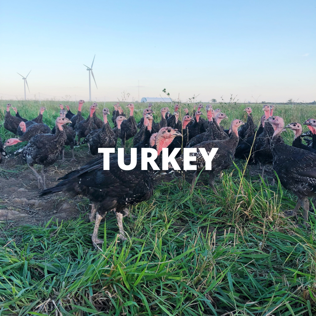 TURKEY block picture.png