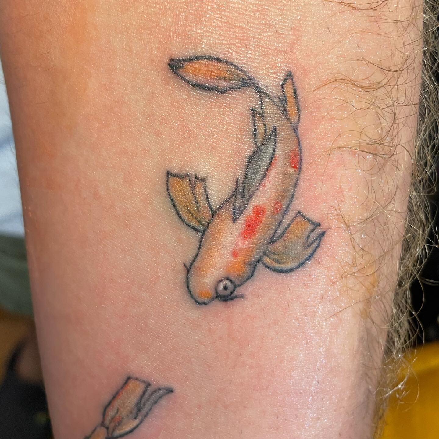 Koi fish 🧡
Thank you Alex for your patience and for letting me use your arm as a canvas. Hope you like it! 

#tattoo #inked #koifish #tattoo #sandiego