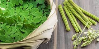 moringa1.jpg