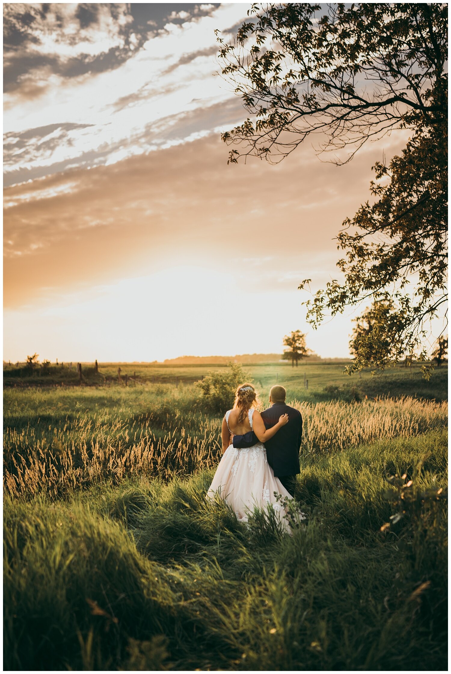 Field long grass wind 2.jpg