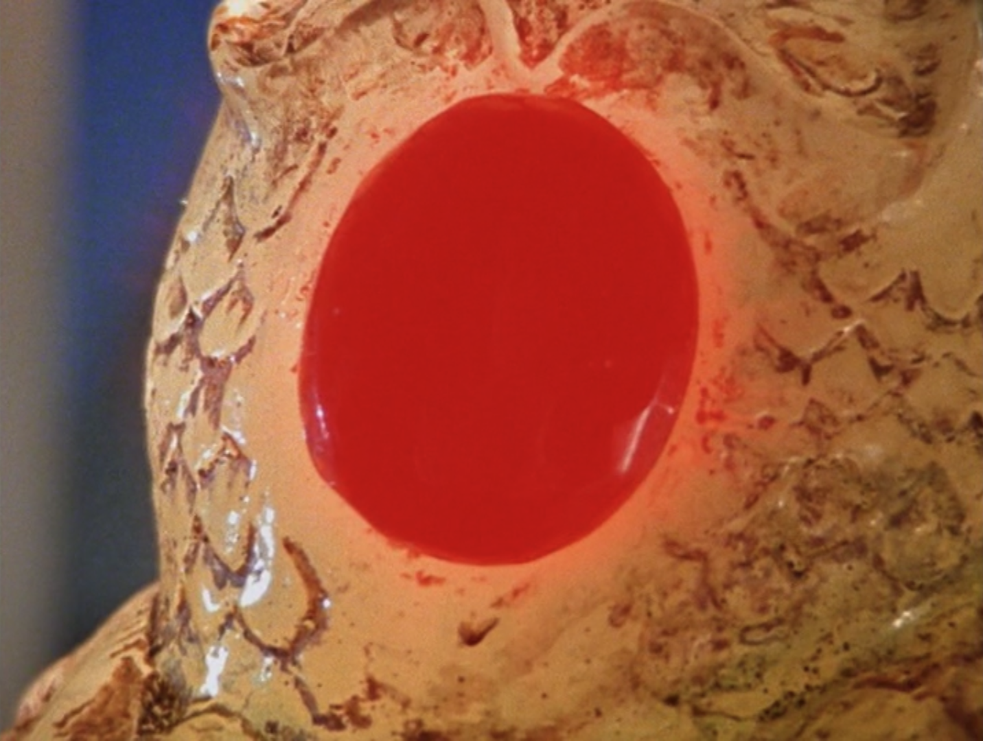 Screenshot 2026-03-26 at 12.06.09 AM.png