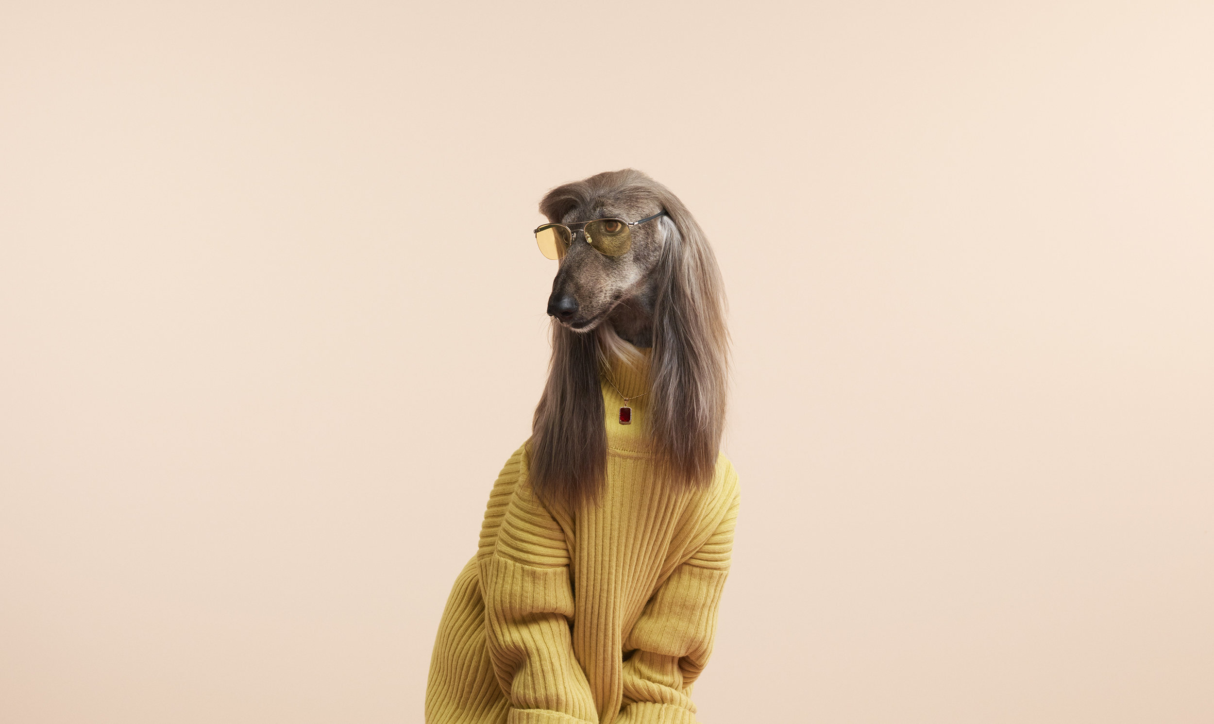08_CanineStylist-098-small.jpg