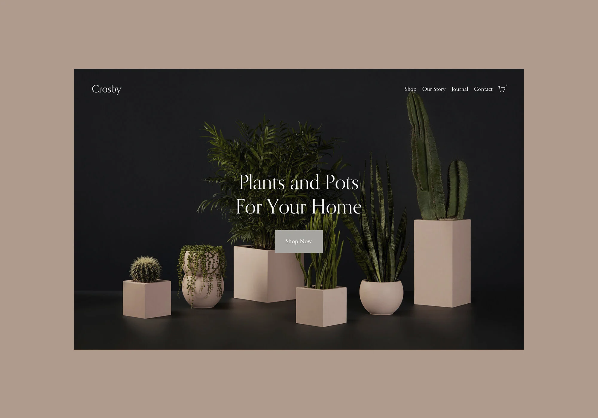 Sito Web di Crosby
