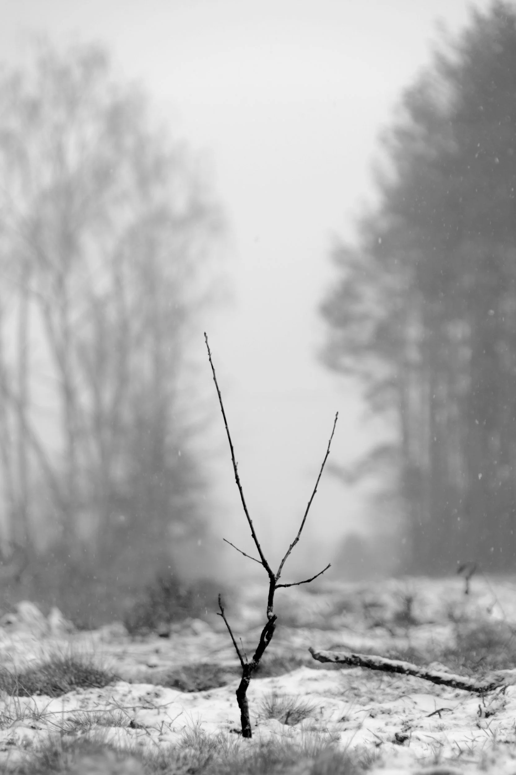 Resilience