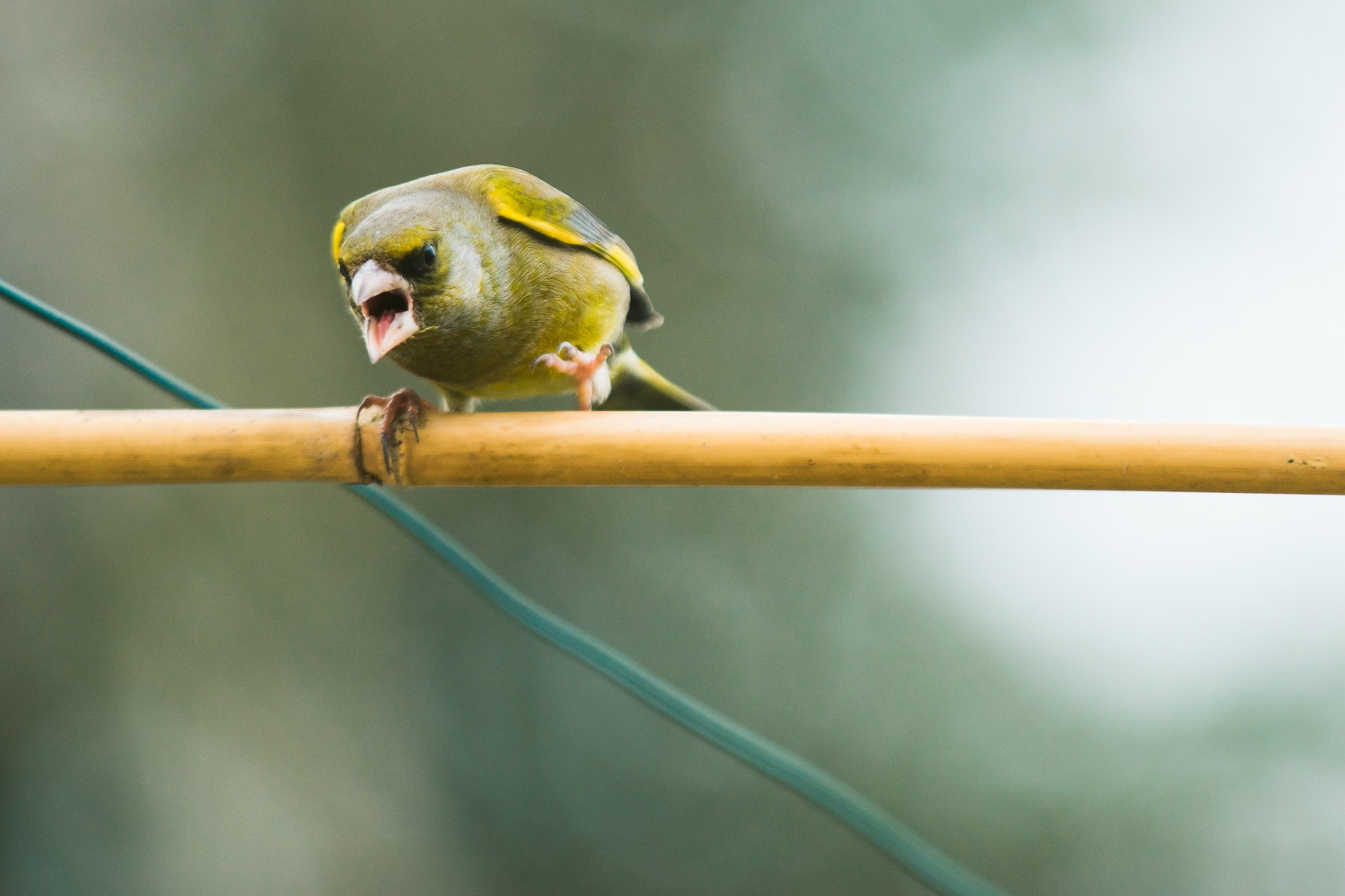 Anger and Emotional Labor