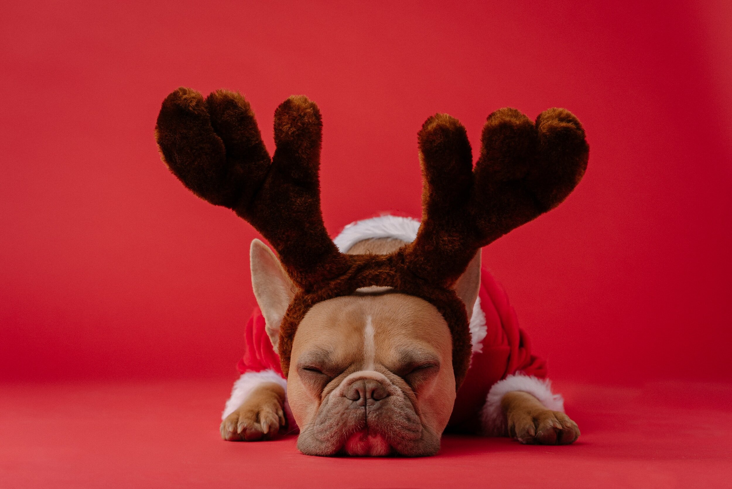 How Not to Pack on the Pounds this Holiday Season