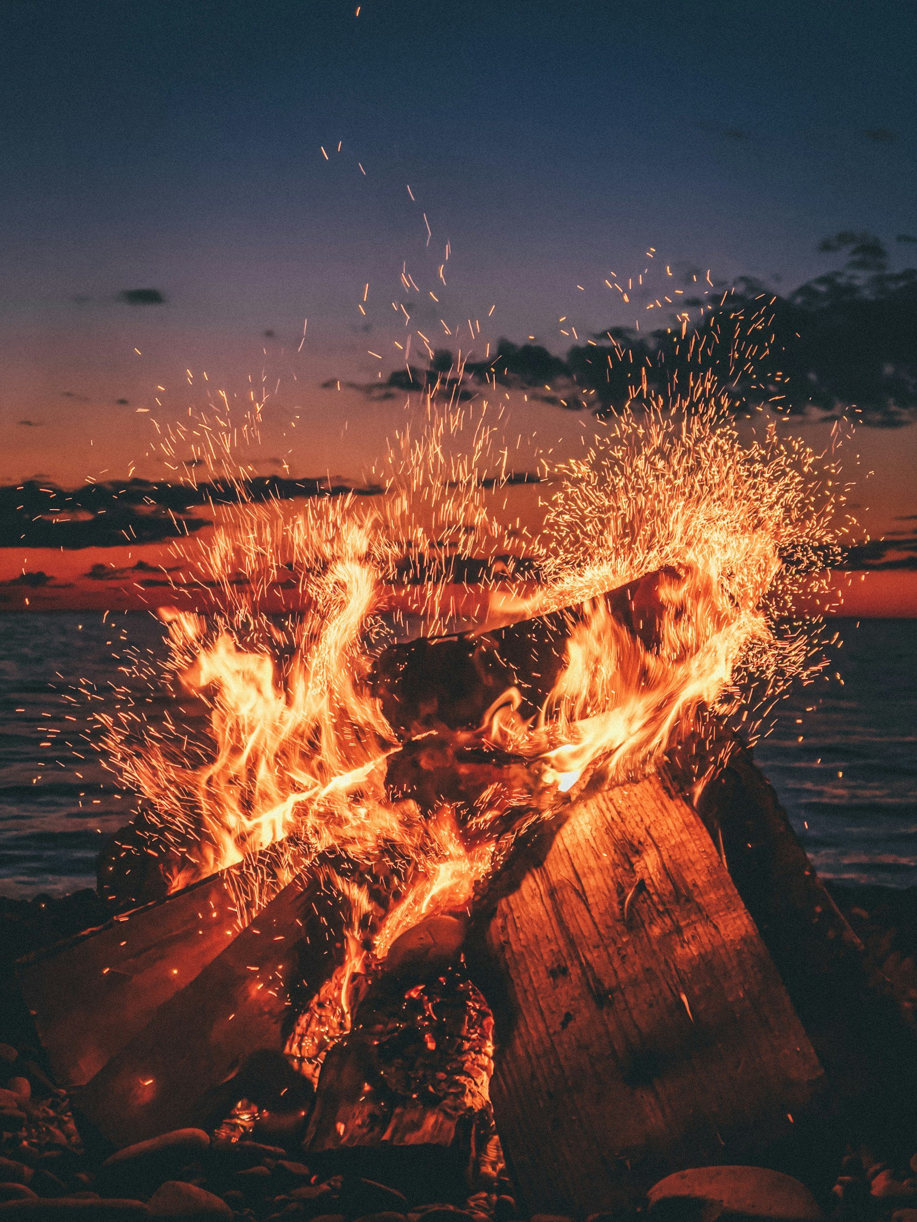 Rising from the Ashes – a Story about the Phoenix