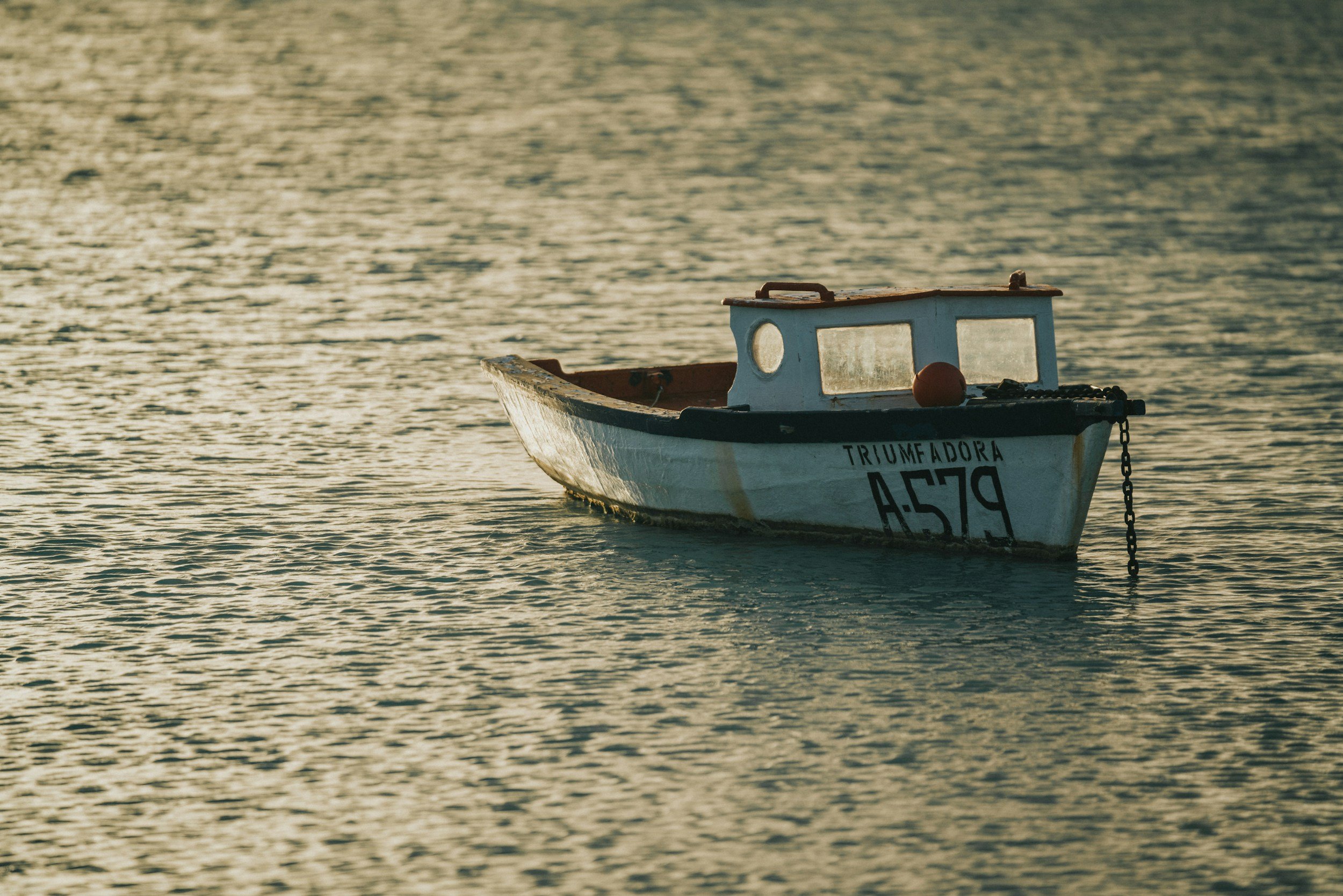 Have the Courage to Cut the Anchor