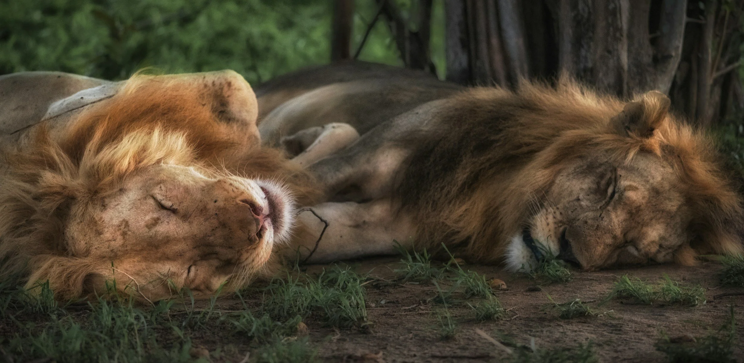 Rest is Your Secret Weapon