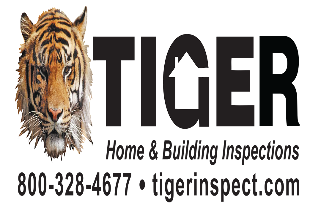 BLACK Tiger Inspection_Logo_April 2021transparentPDF (1).png