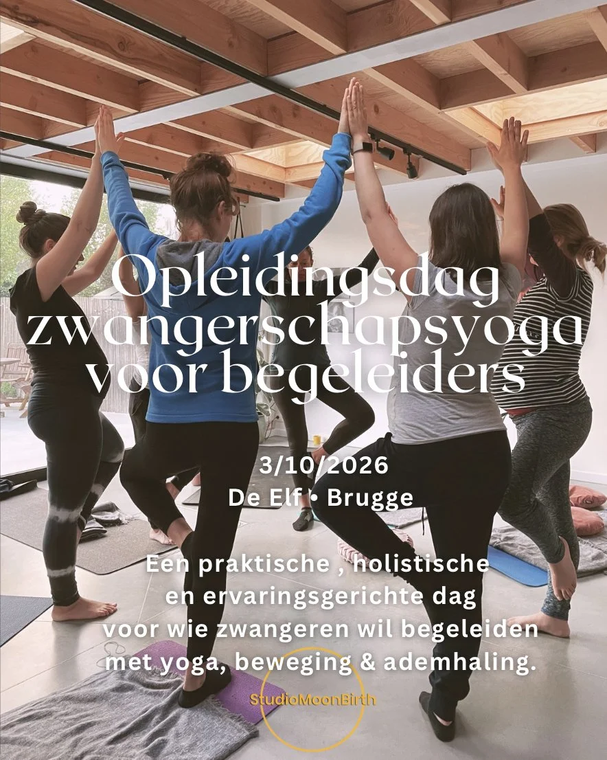 Opleidingsdag Zwangerschapsyoga voor begeleiders!
