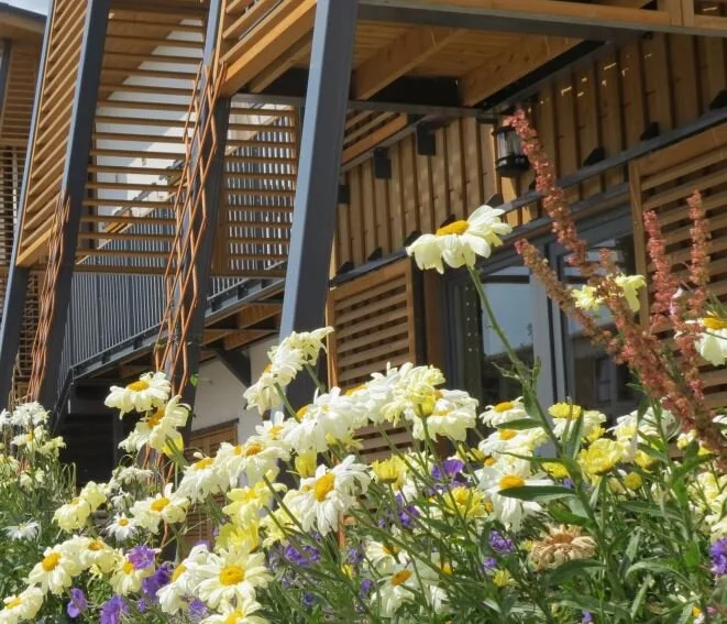 House with flowers.JPG