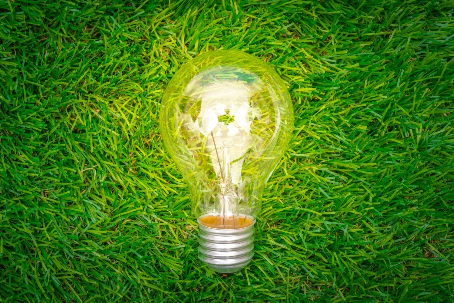 eco-concept-light-bulb-grow-grass-min.jpg