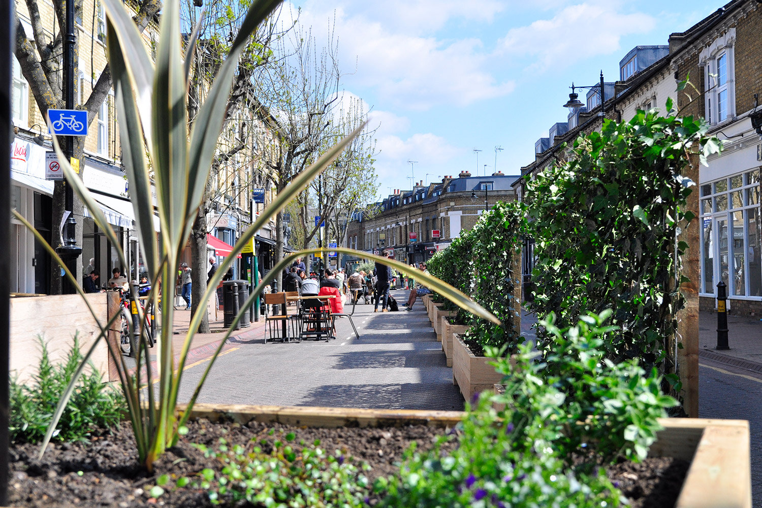 Leafy solution to high street social distancing