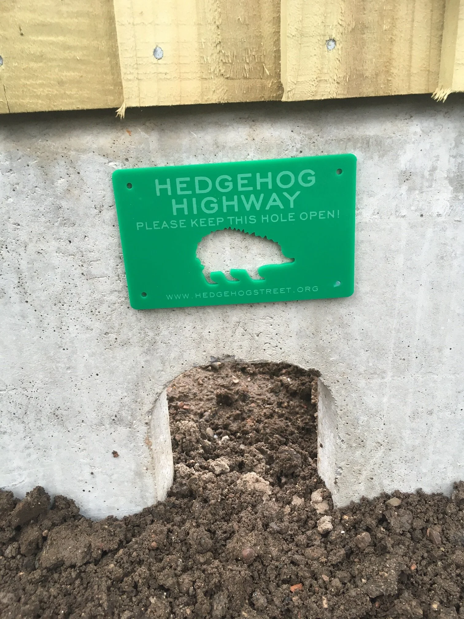 hedgehog highway (002).jpg