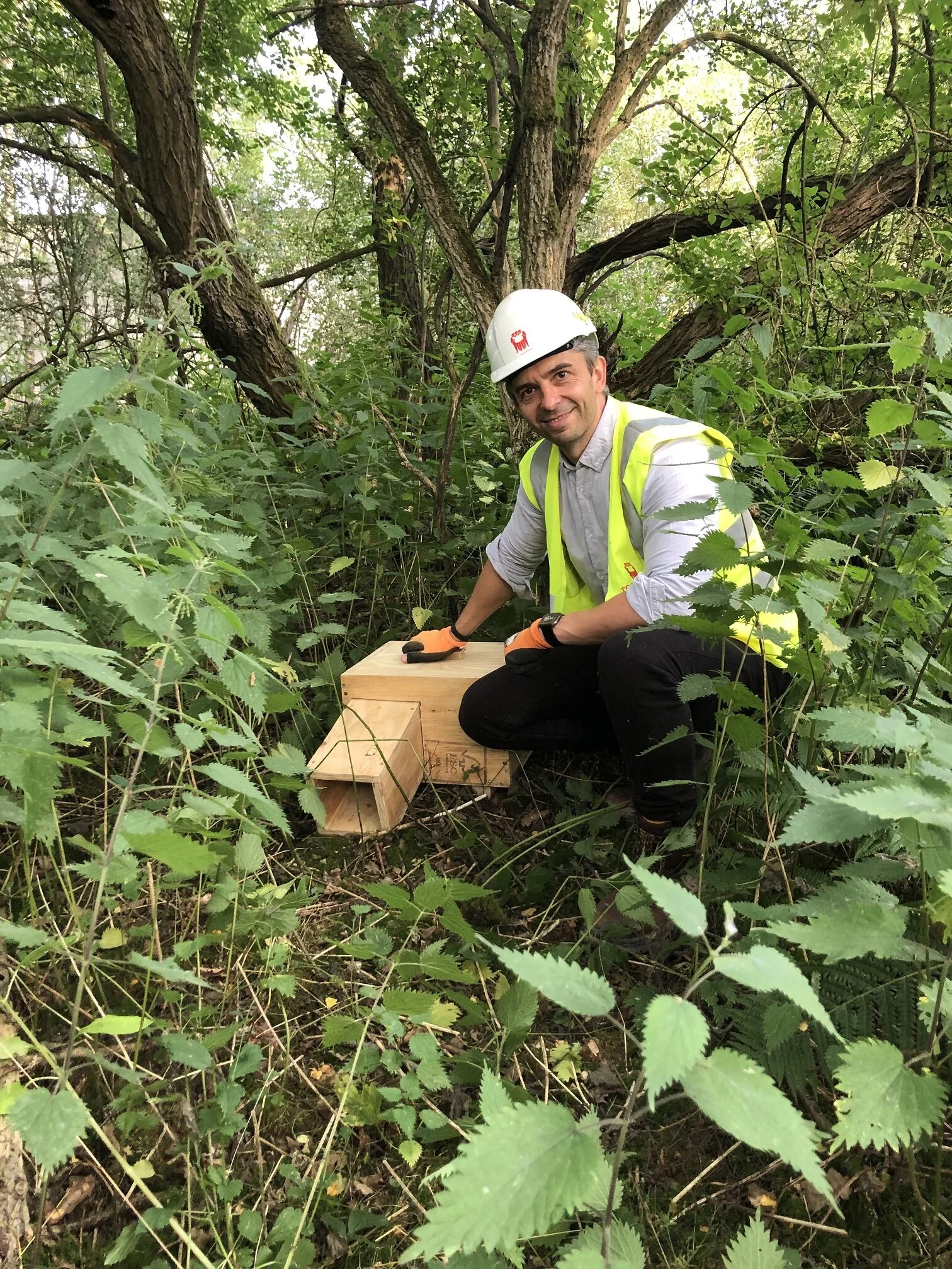 The hedgehogs move in: G F Tomlinson continues to protect local wildlife  