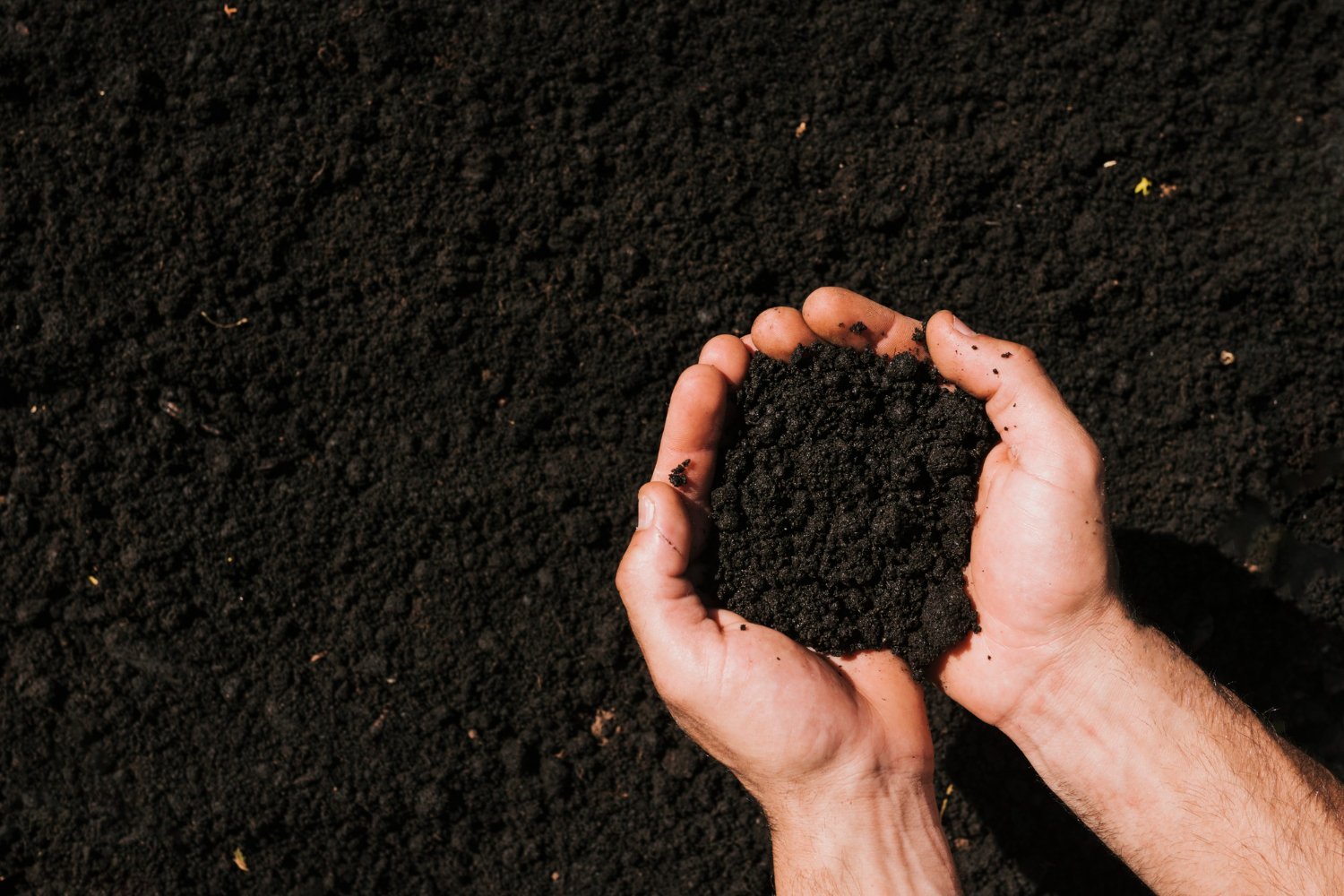 Is your soil suitable? Study raises questions over what’s inside what’s on sale