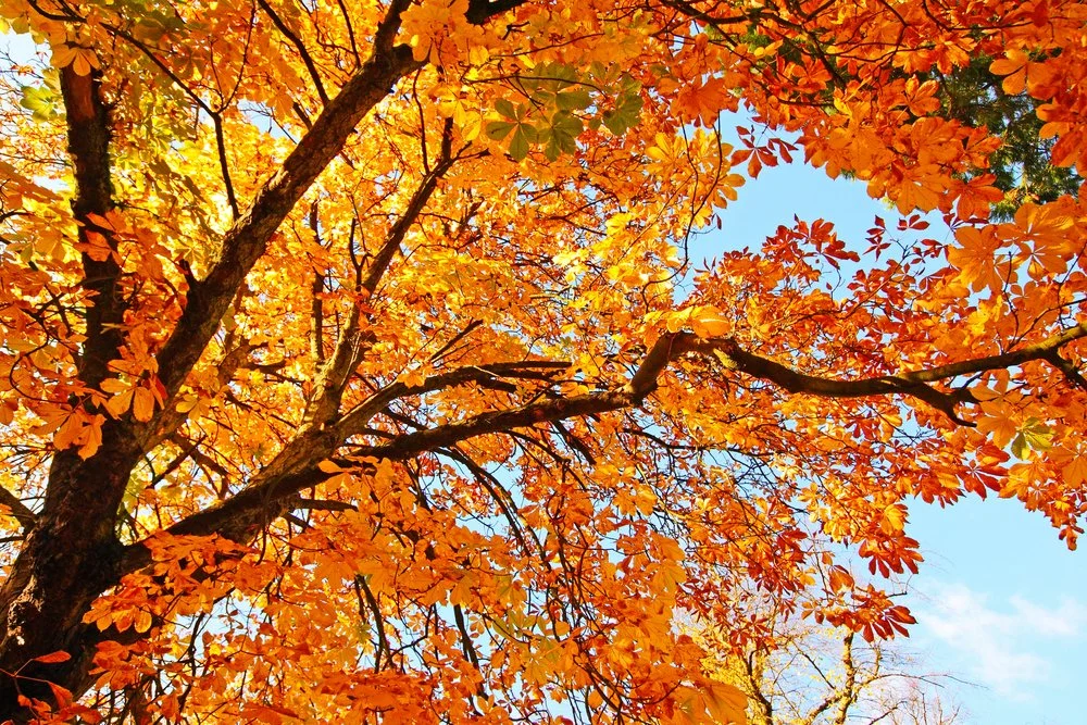 Helping the construction industry to help the environment