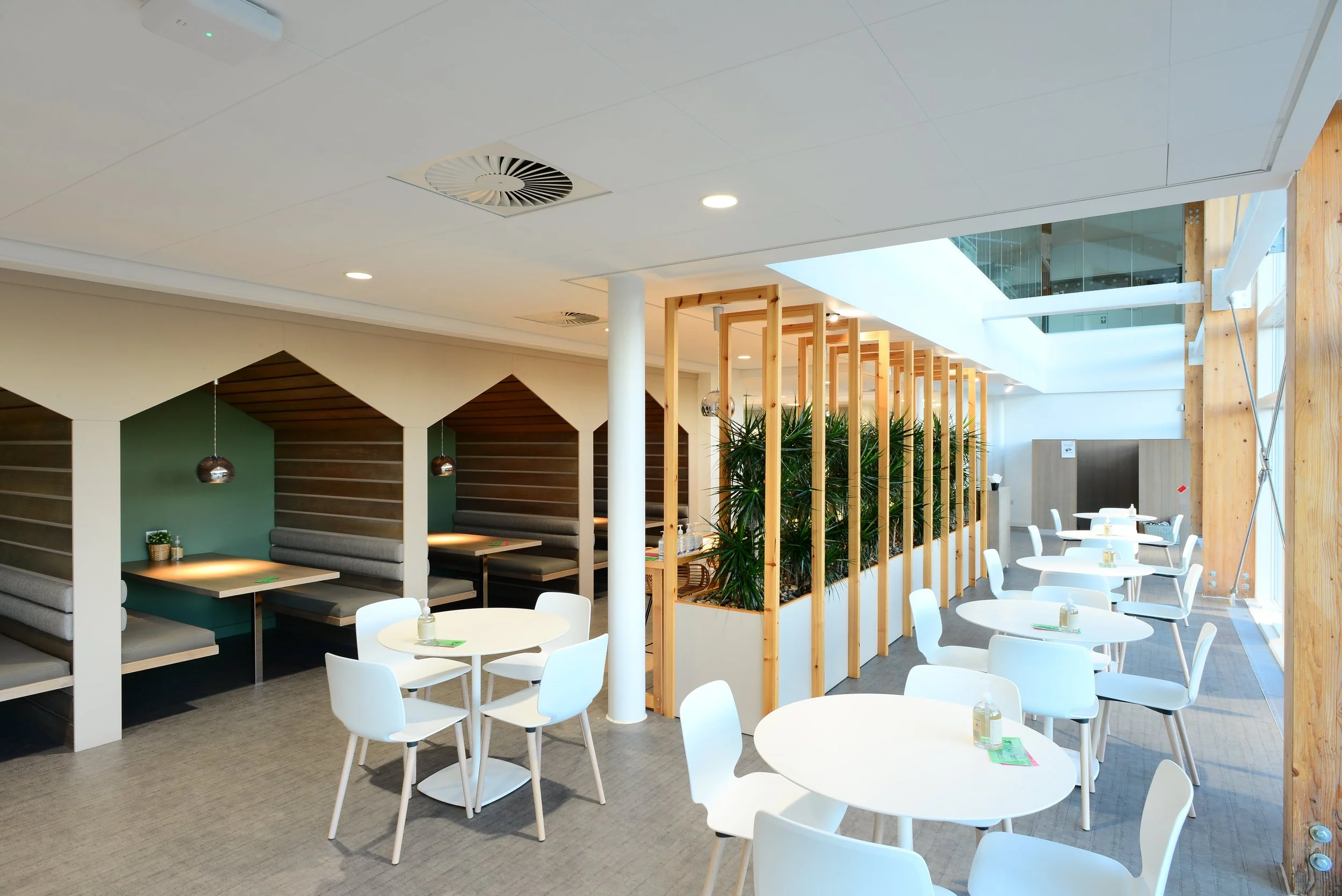 Zentia systems help VELUX® reach for the sky