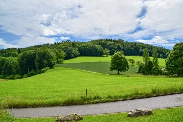 Home counties overturn plans for new housing on green fields