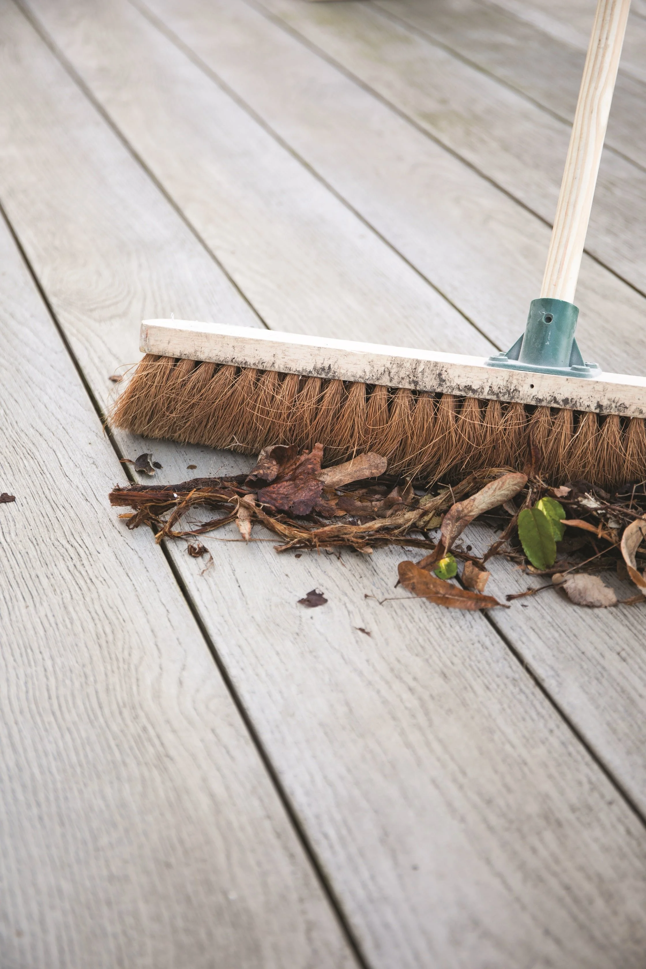 Advising on decking maintenance