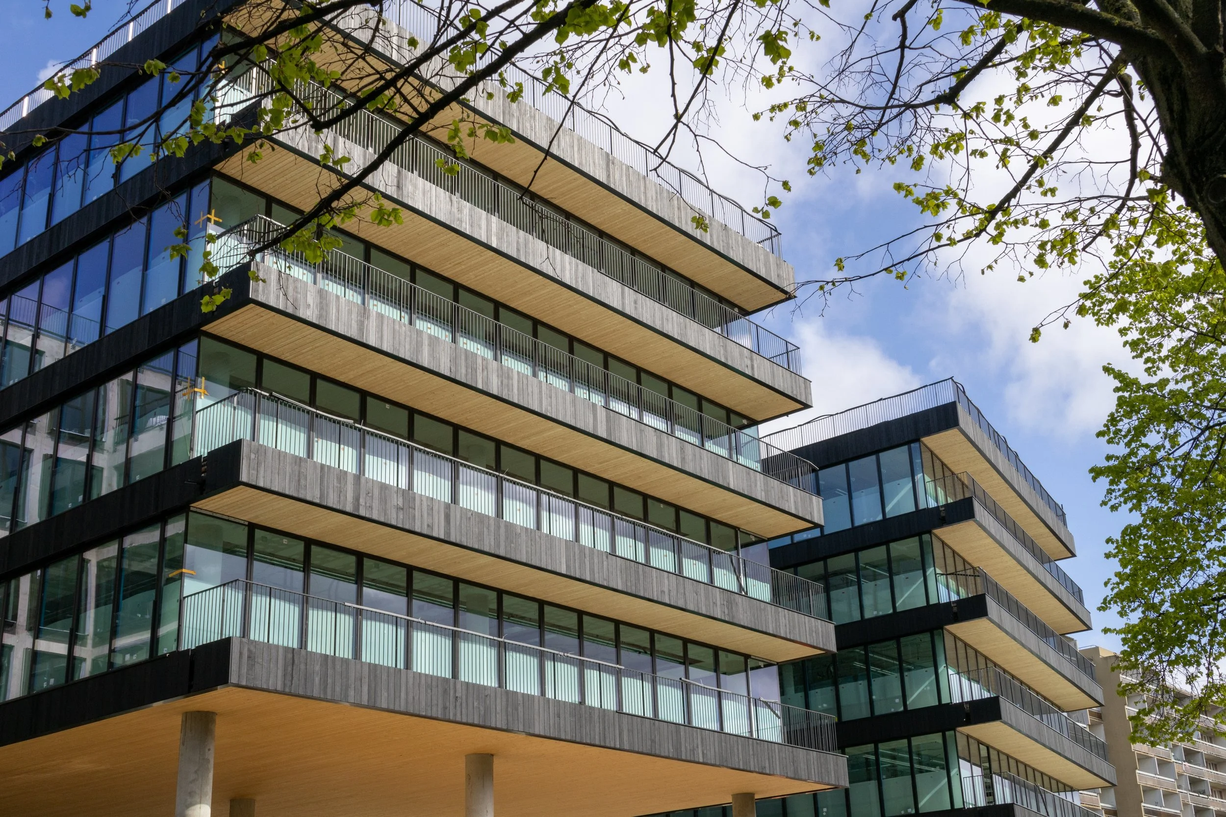 BLACK: Largest low-carbon building in France features charred timber façade 