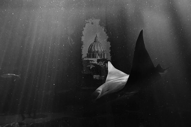 230/365

#rome #italy #underthesea #ocean #globalwarming #blackandwhitephotography #architecture @noir