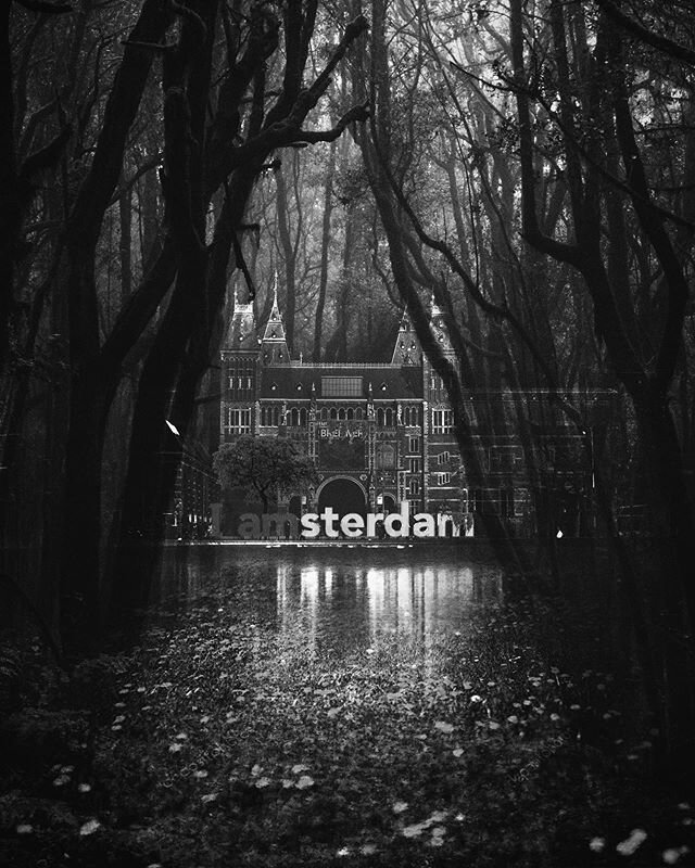 234/365

#amsterdam #nature #quarantine #tb #beyond #blackandwhitephotography #rijksmuseum #forest #meadow