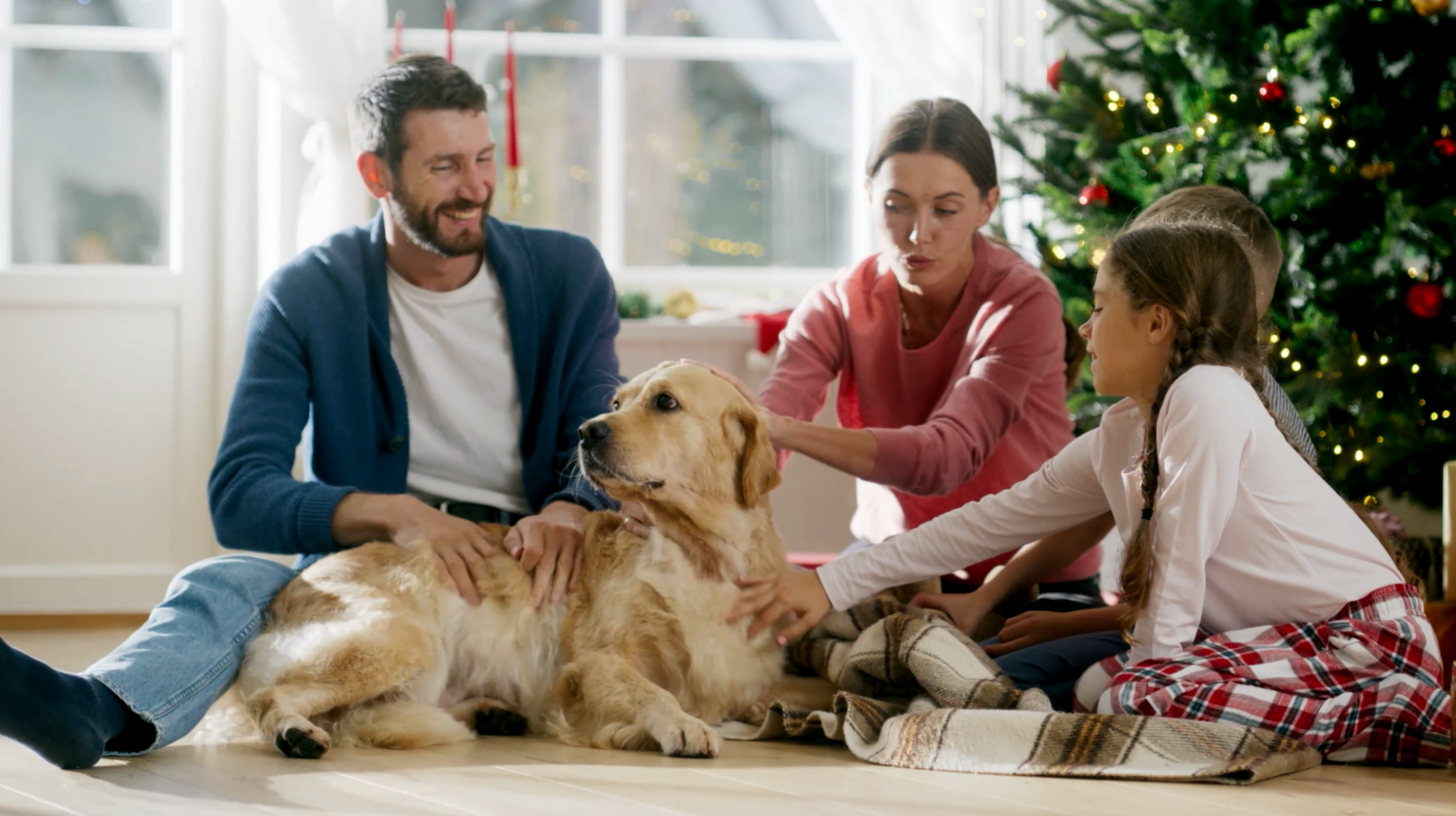 Capture d’écran 2025-10-20 à 11.27.23.png