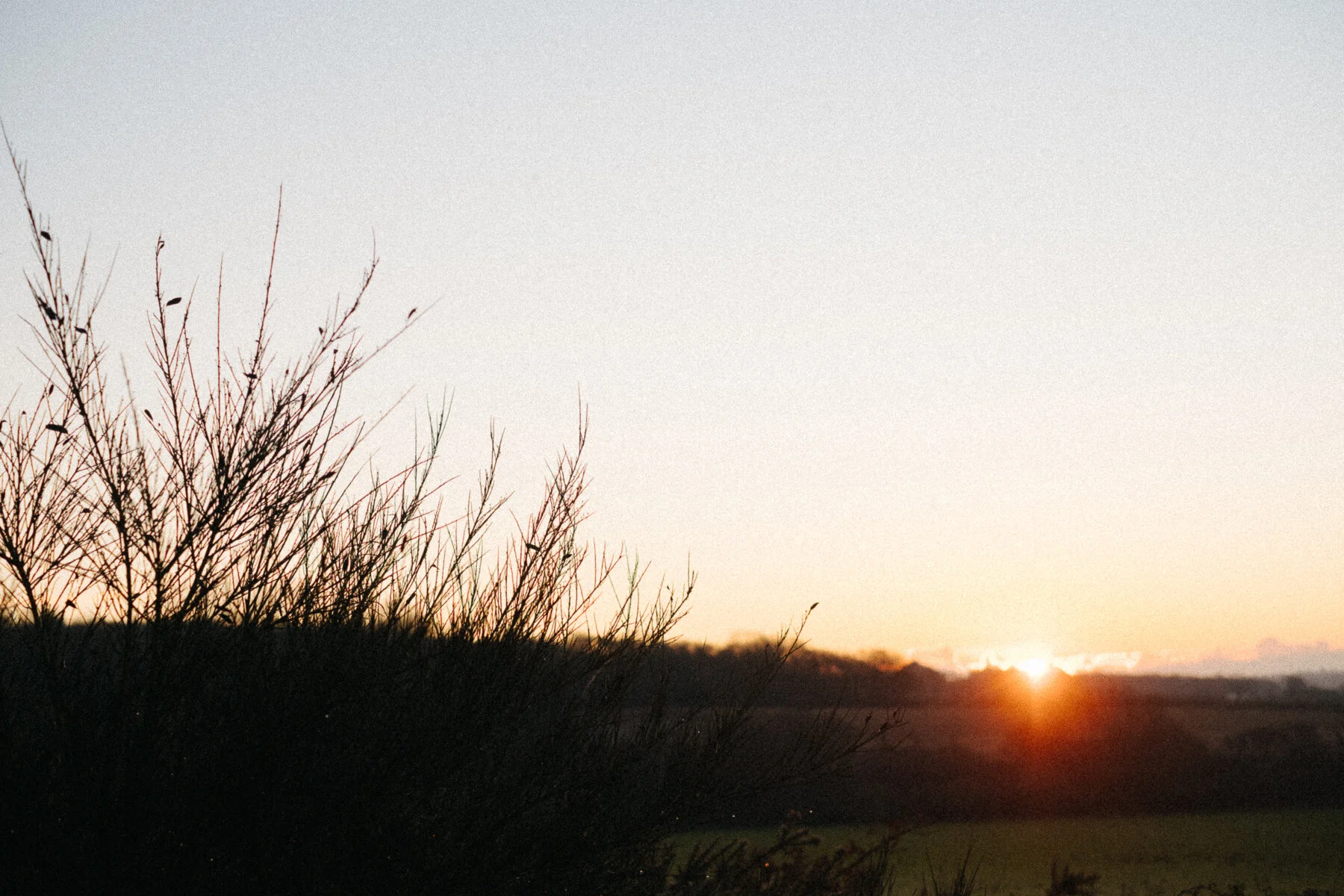 DSCF9052.jpg
