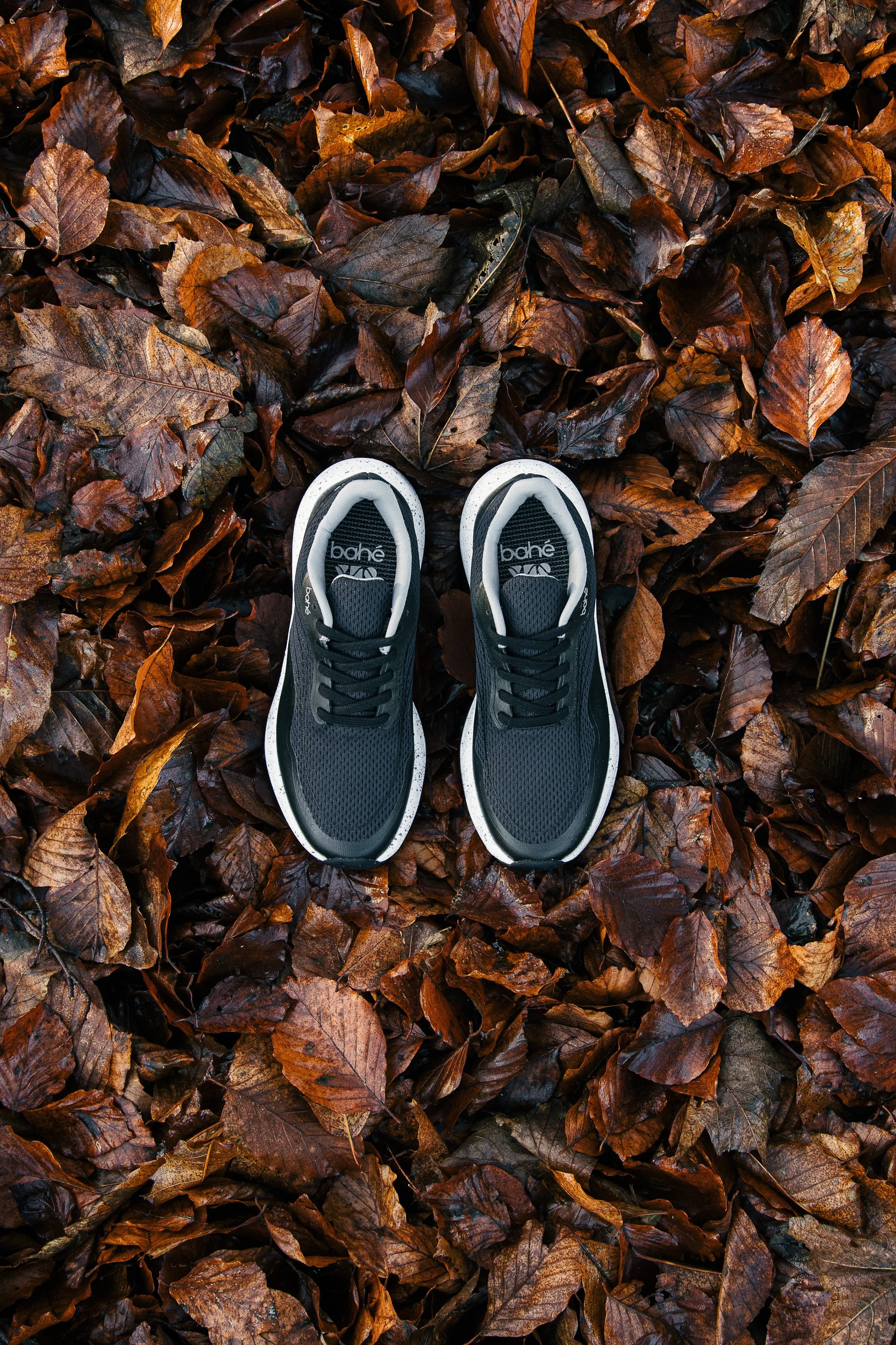 BaheOutdoors-49.jpg