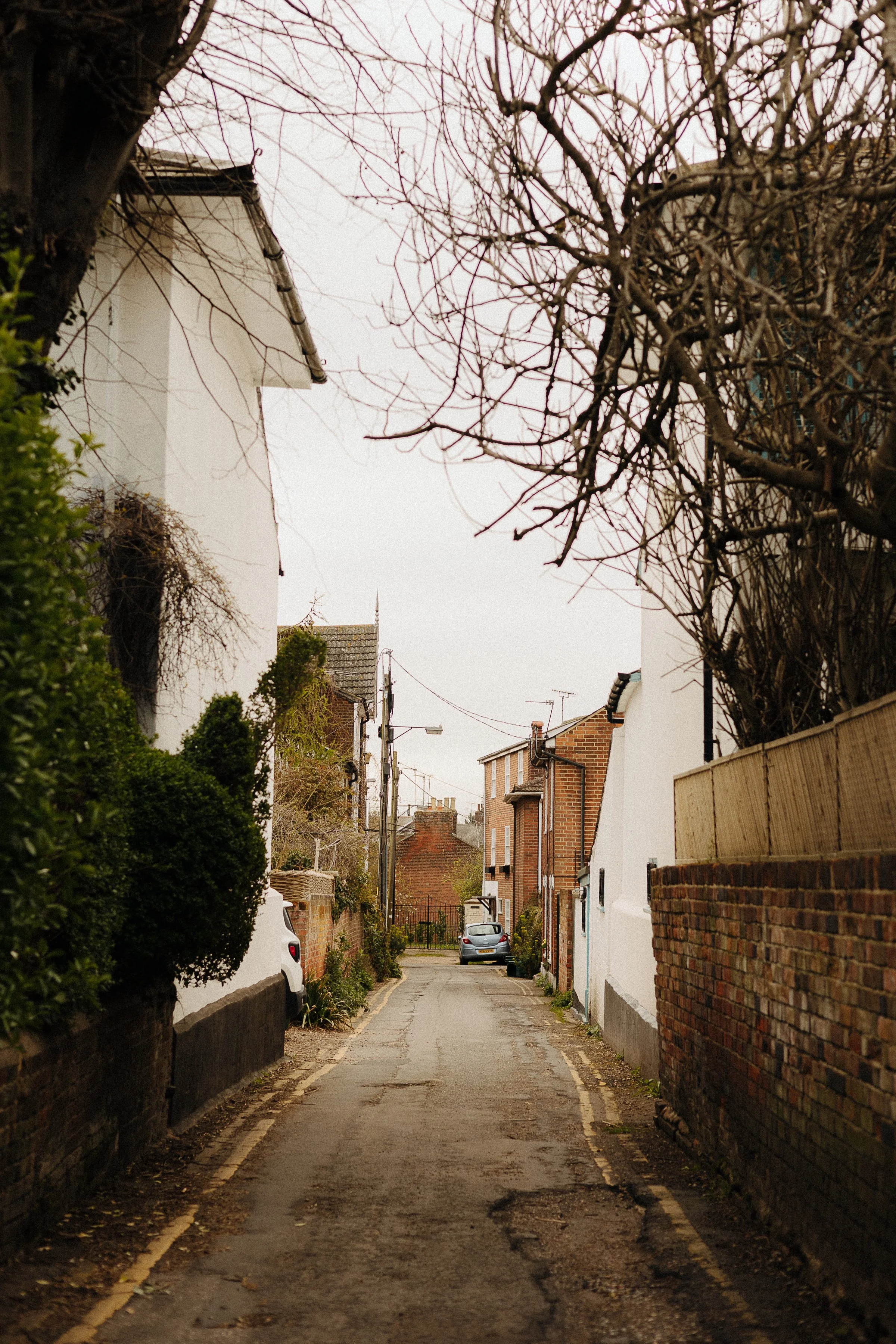 FionaHarmon-4.jpg
